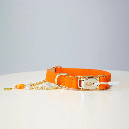 Couture Capri Sunset Dog Collar with Capri Collar Design