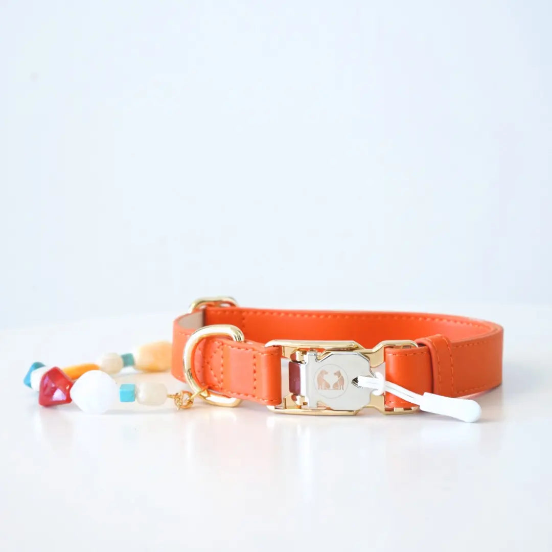 Couture Capri Sunset Dog Collar with Capri Collar Design