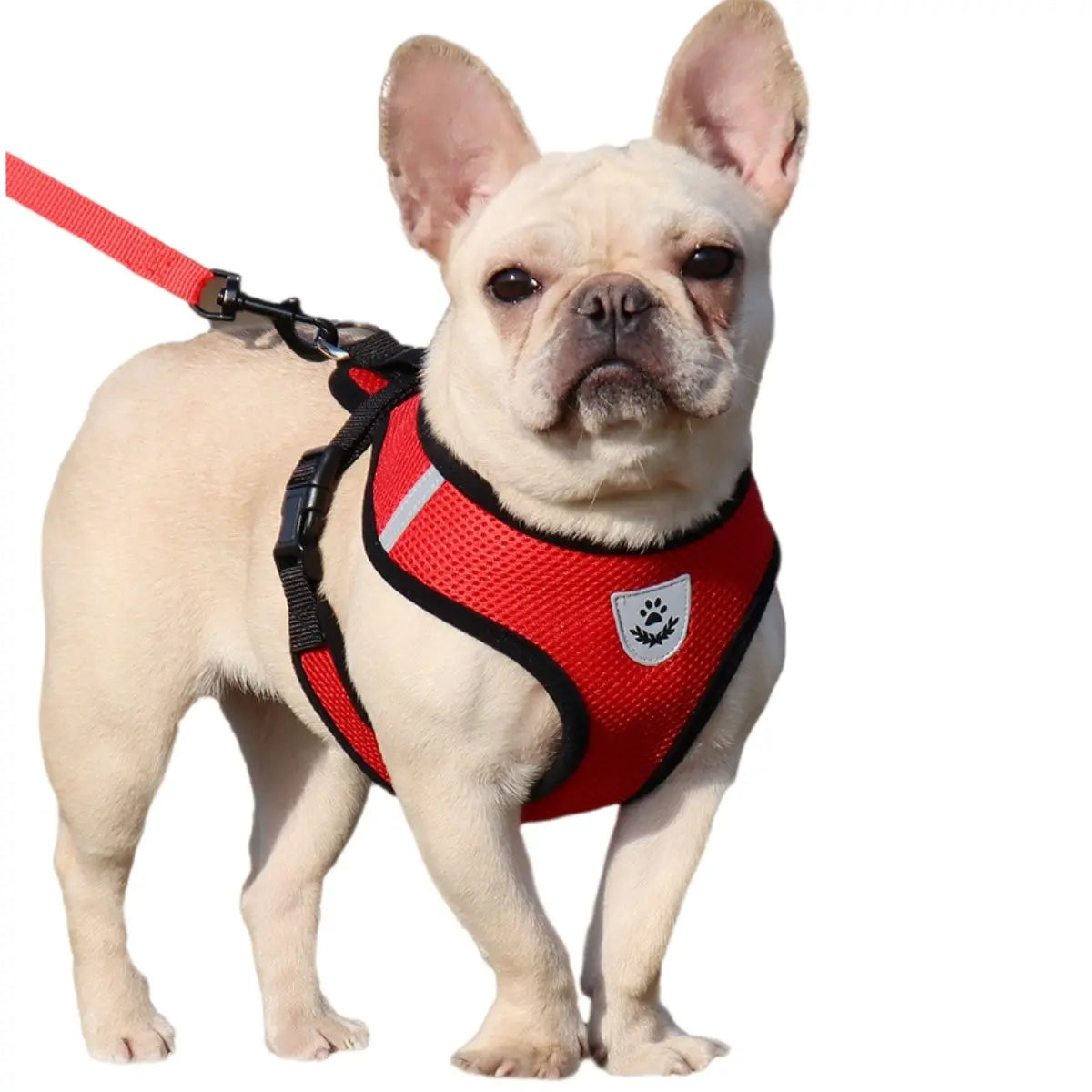 Pet Harness, Outdoor Leash Collar, Reflective Harness, Anti-Shock Safety Gear, Ideal for Dogs & Cats