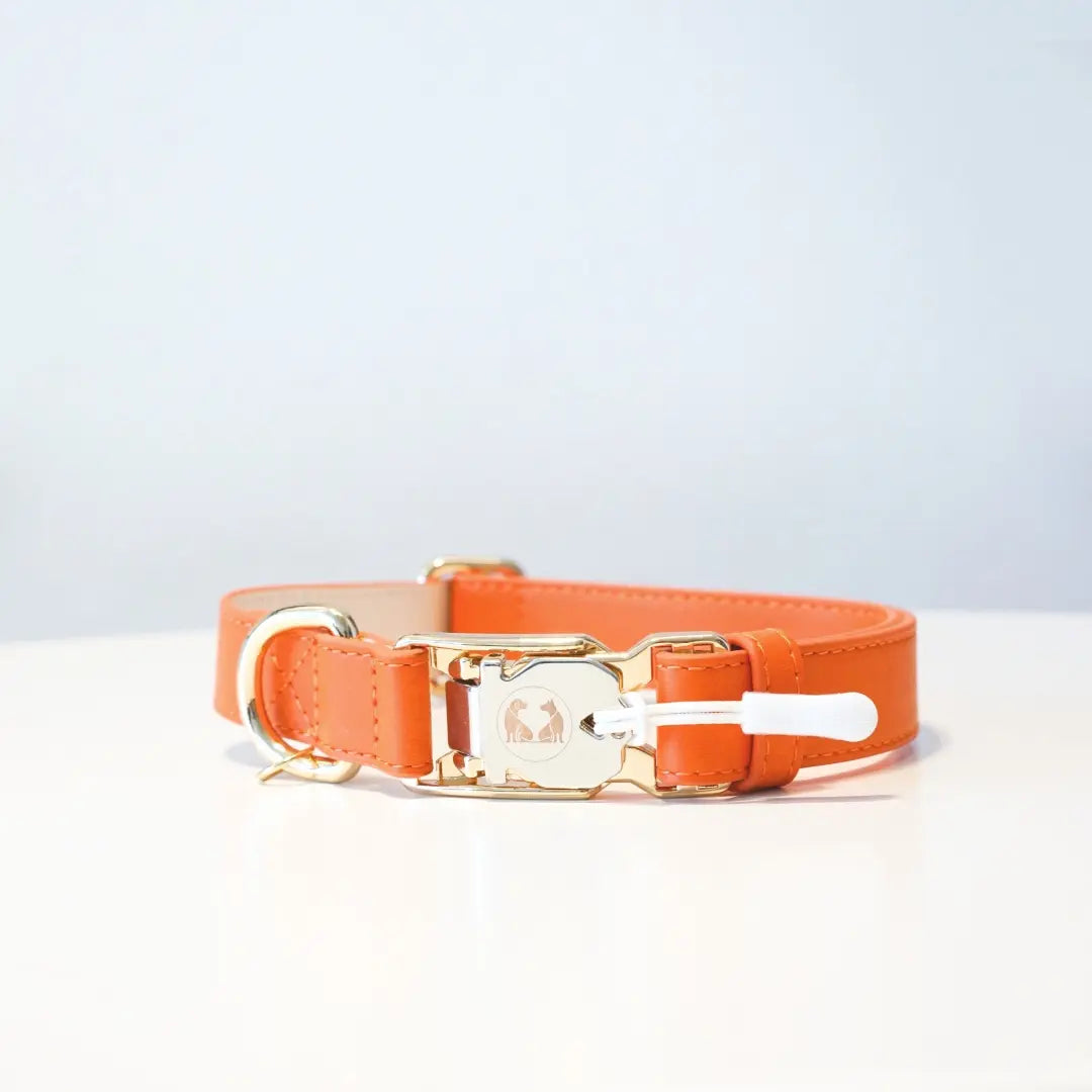 Couture Capri Sunset Dog Collar with Capri Collar Design